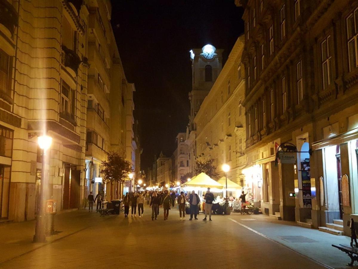 Like Studio City Centrum, Wifi, Terrace Budapest Exterior photo